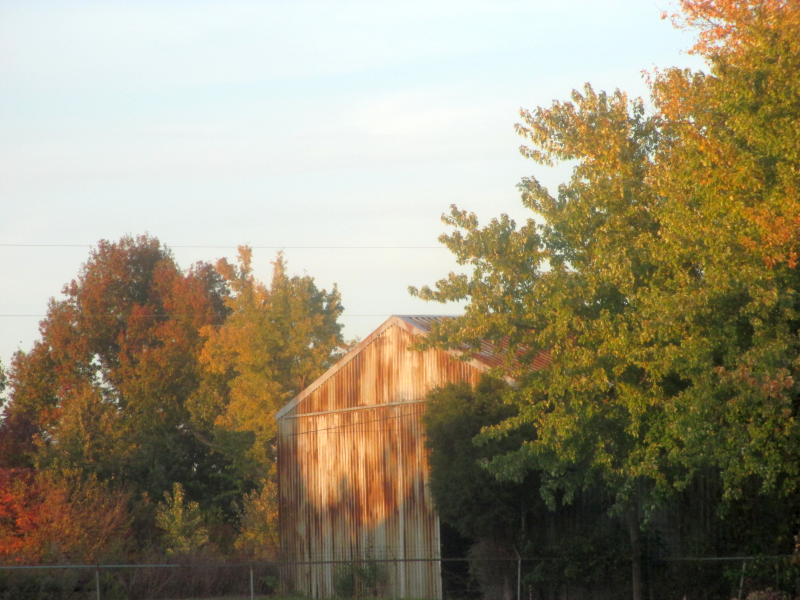 Picture of a Barn in Autumn