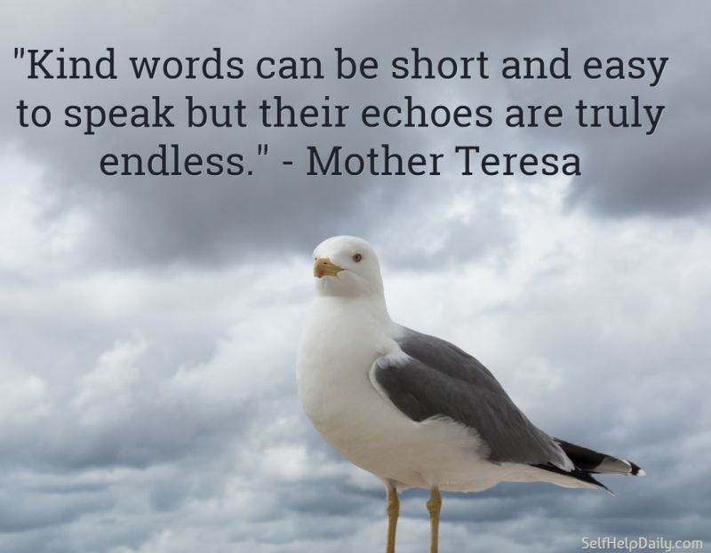 Quote About Kindness by Mother Teresa