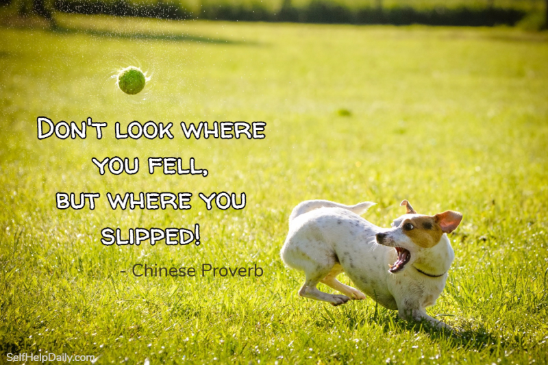 Don't look where you fell but where you slipped.