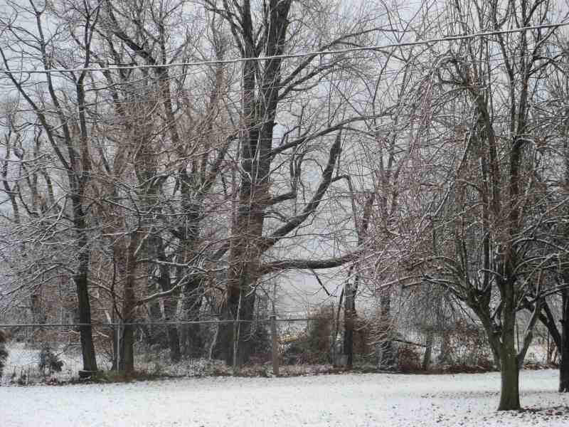 Snowy Morning Dec 2012