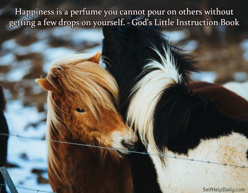 Quote about Kindness and Happiness