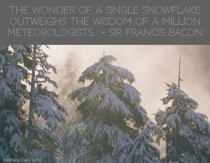 Quote about Snowflakes
