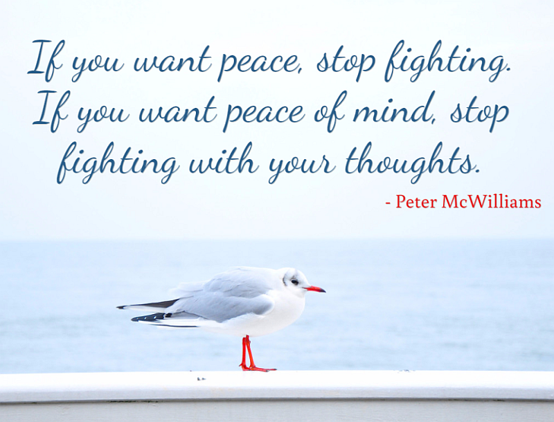 Peace Of Mind Quotes  Self Help Daily