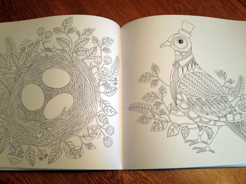 Wonderland Adult Coloring Book by Amily Shen