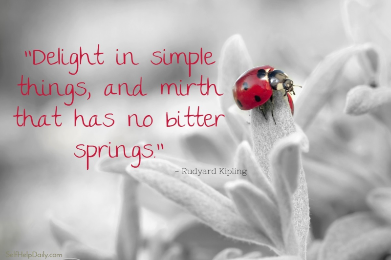 Quote About Simple Things
