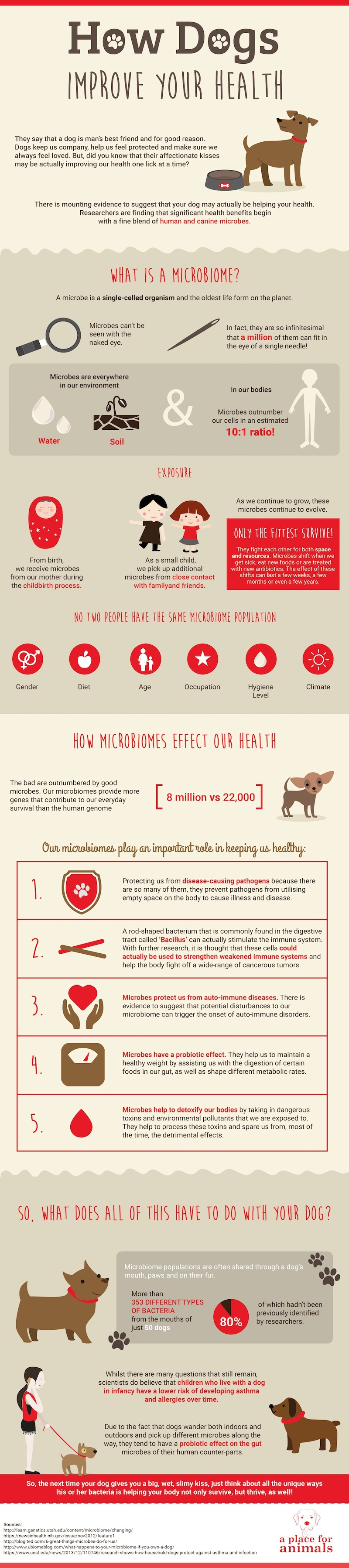 How Dogs Improve Your Health Infographic