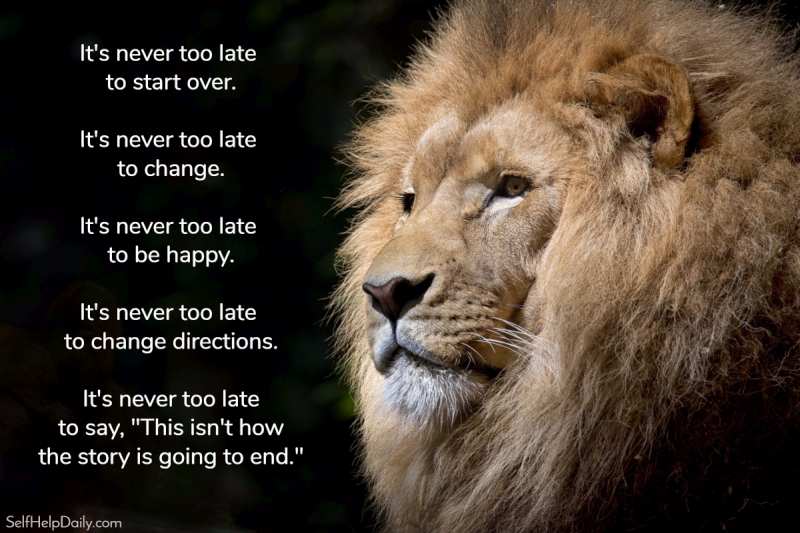Never Too Late Quote Graphic