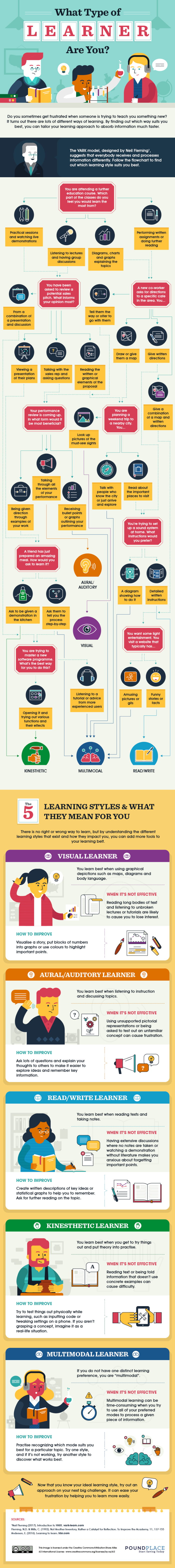 What Type of Learner are You Infographic