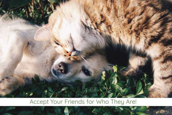 Accept Your Friends for Who They Are