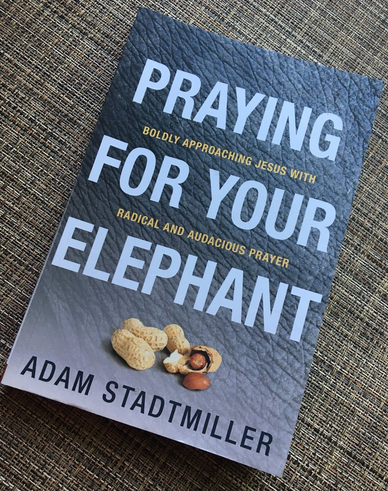 Praying for Your Elephant by Adam Stadtmiller