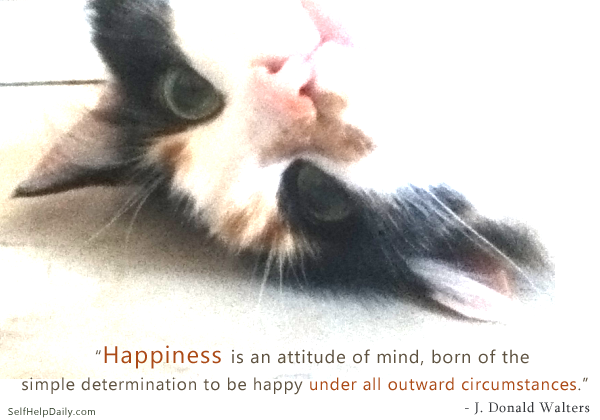 Quote About Happiness