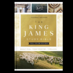 Thomas Nelson King James Study Bible