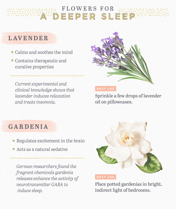 Flowers for a Deeper Sleep