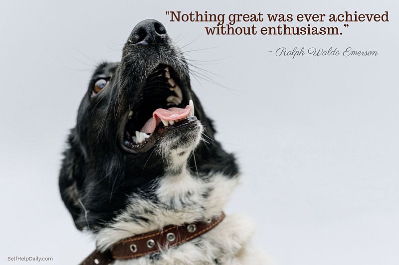 "Nothing Great was Ever Achieved Without Enthusiasm." ~ Ralph Waldo Emerson