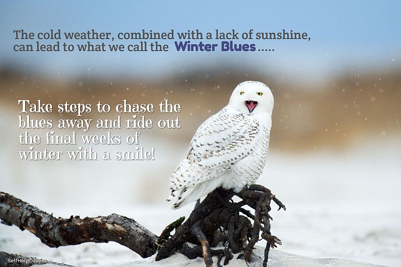 How to Beat the Winter Blues Graphic