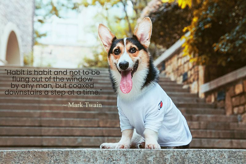 Quote About Habits by Mark Twain