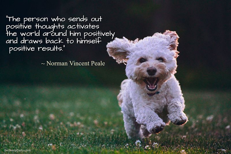 Positivity Quote by Norman Vincent Peale