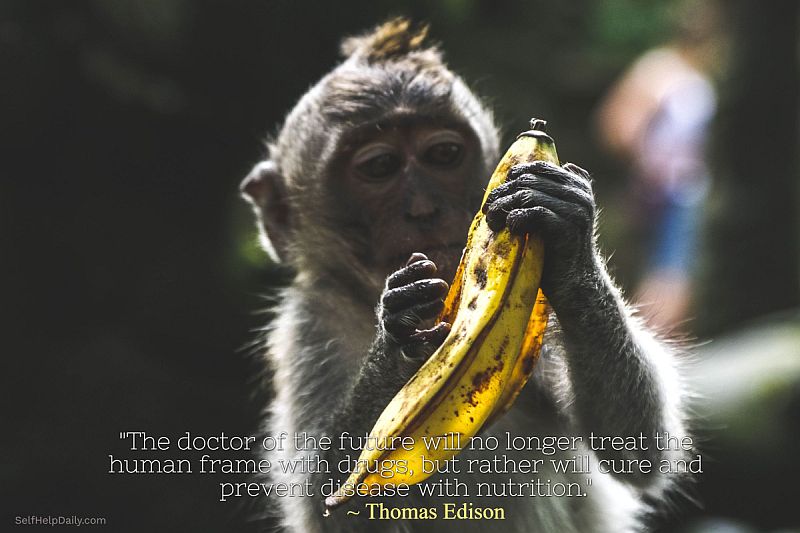"The doctor of the future will no longer treat the human frame with drugs, but rather will cure and prevent disease with nutrition." ~ Thomas Edison