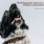 Nothing Great was Ever Achieved Without Enthusiasm