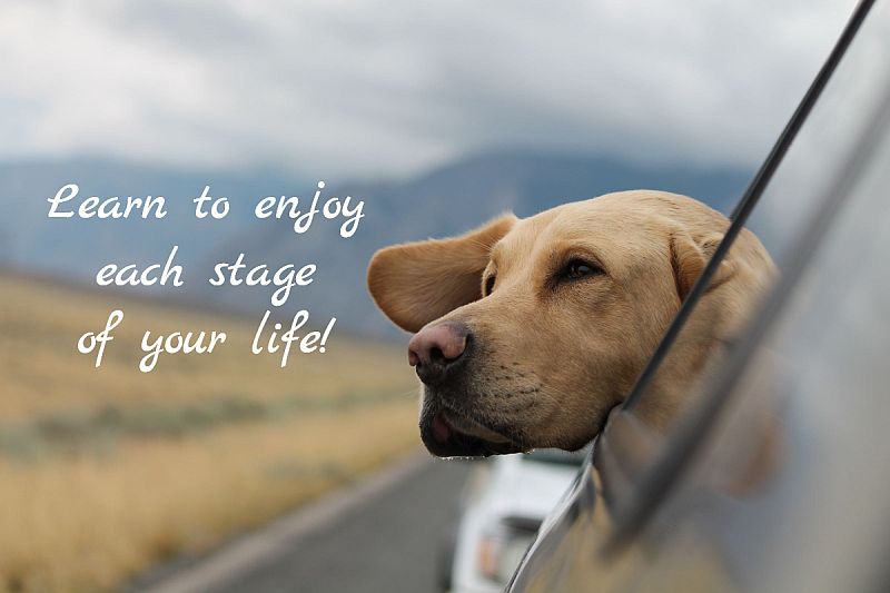 Learn to Enjoy Each Stage of Your Life